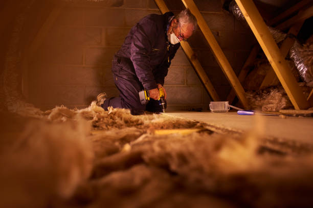 Best Cellulose Insulation in Hartsville, TN